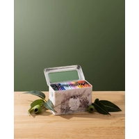 Koala Tea Organic Byron Bay (Tin Gift Pack 25 bags)
