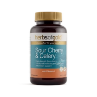 Herbs of Gold Sour Cherry & Celery 60c