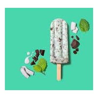 Frozen Sunshine Mint Choc Chip 320mL 4pk
