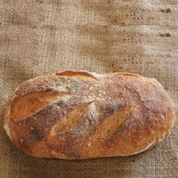 DALBY AREA ONLY (may be FROZEN) Spelt Sourdough Bread
