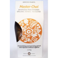 Ayurveda Practitioner Organic Tea - Master-Chai