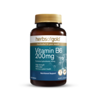 Vitamin B6 60t