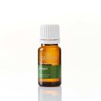 100% Pure Essential Oil - Ginger