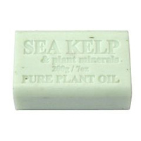 Sea Kelp - Pure Plant Oil Soap