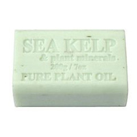 Sea Kelp - Pure Plant Oil Soap