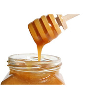Raw Bush Honey 500g